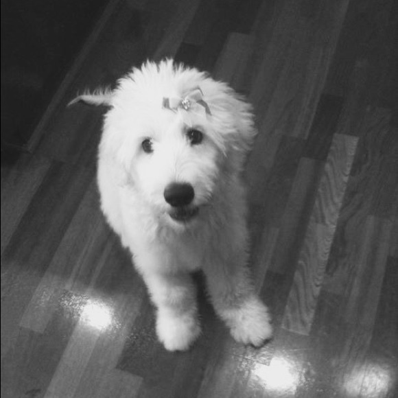 Meet your Posher, Jennifer - Picture 6 of 7